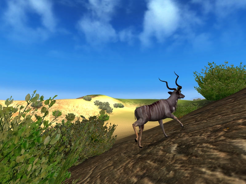 Скриншот из игры Hunting Unlimited 2010 под номером 11