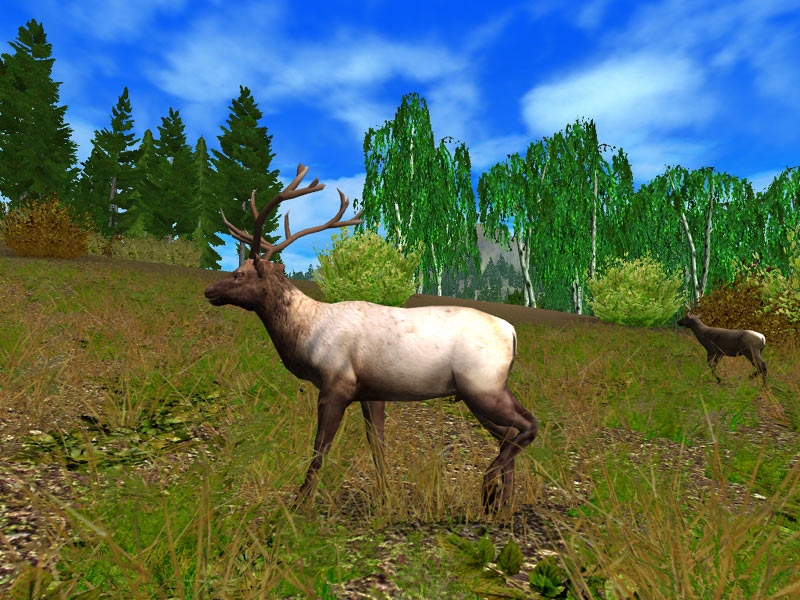 Скриншот из игры Hunting Unlimited 2010 под номером 9