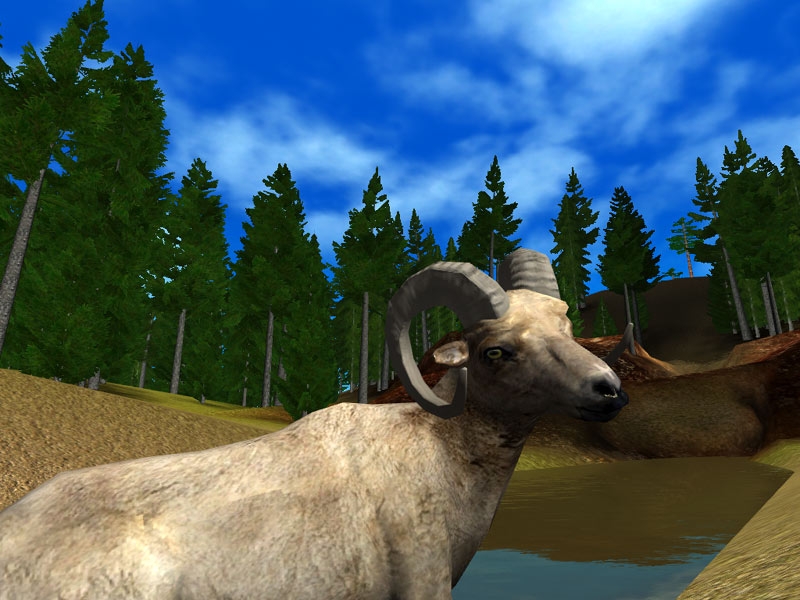 Скриншот из игры Hunting Unlimited 4 под номером 1