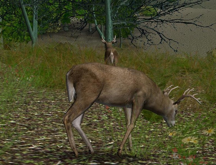 Скриншот из игры Hunting Unlimited 4 под номером 14