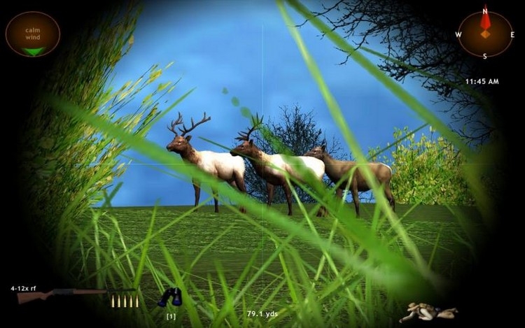 Скриншот из игры Hunting Unlimited 4 под номером 31
