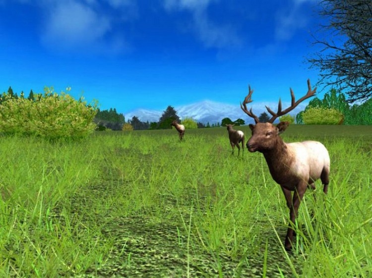 Скриншот из игры Hunting Unlimited 2009 под номером 2