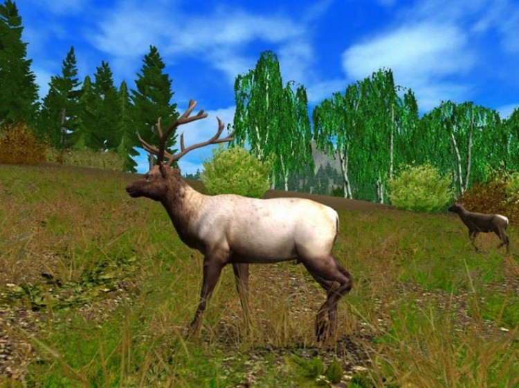 Скриншот из игры Hunting Unlimited 2009 под номером 3