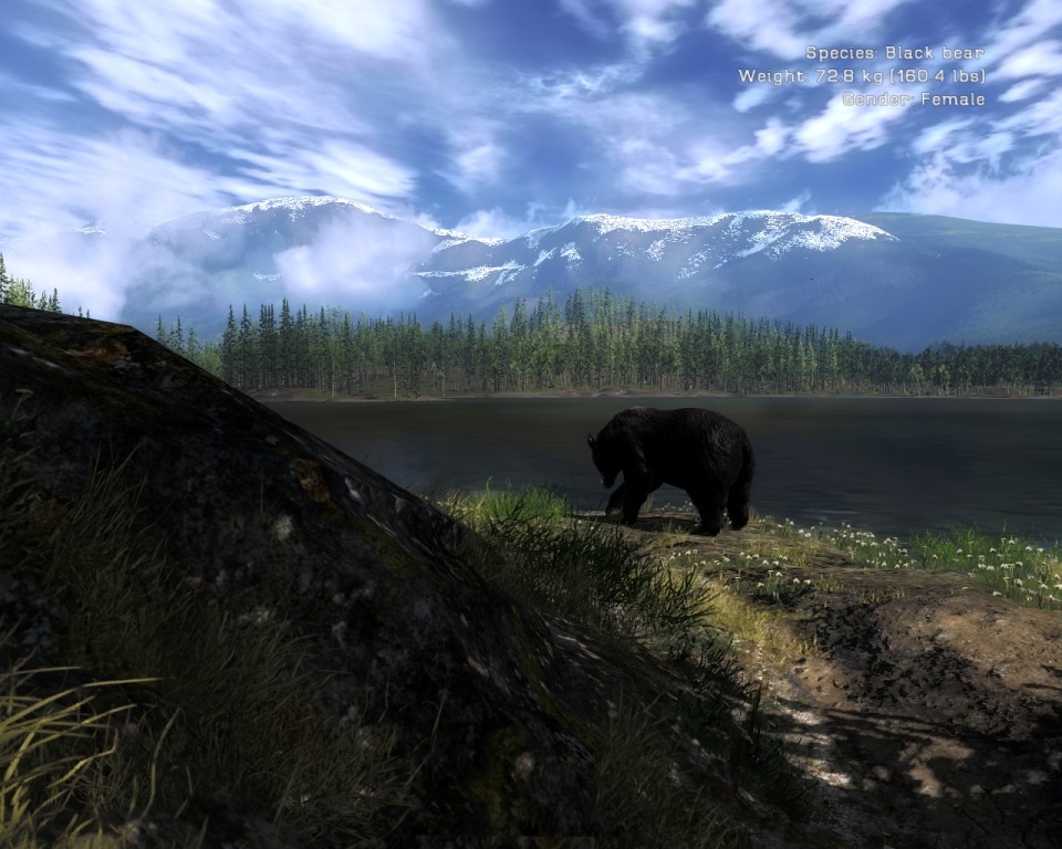 Скриншот из игры Hunter, The под номером 24