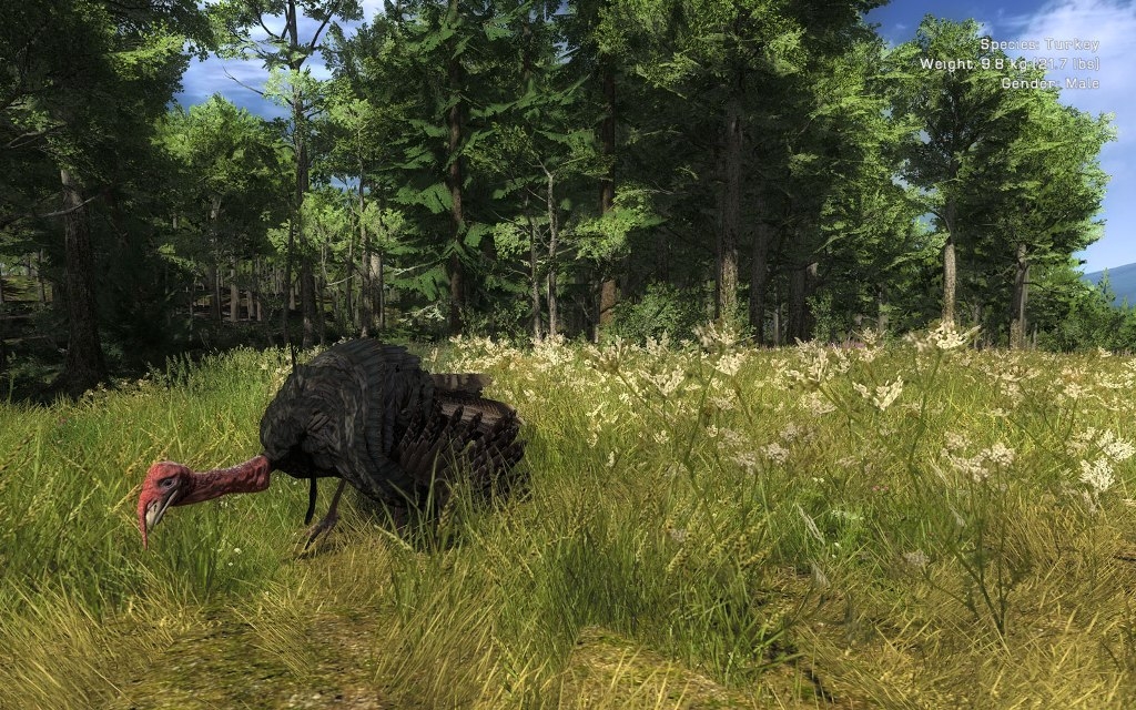 Скриншот из игры Hunter, The под номером 28