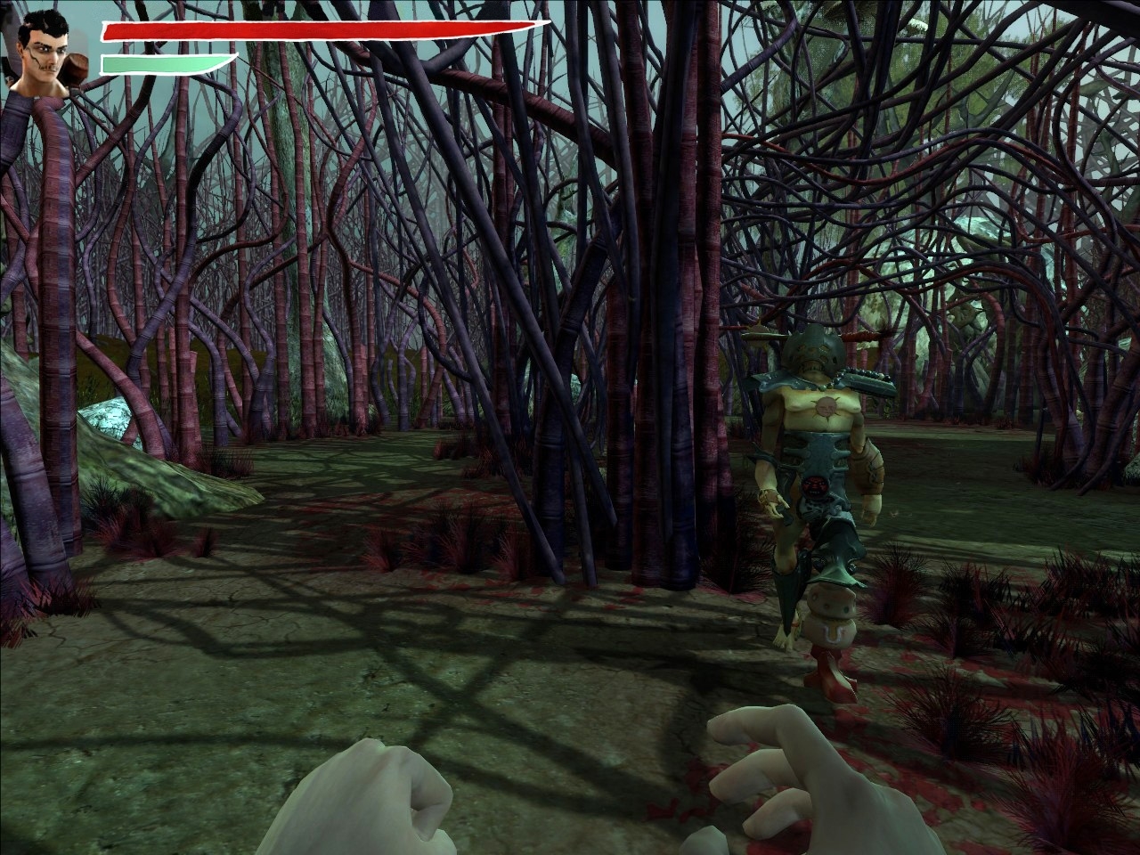 Скриншот из игры Zeno Clash под номером 14