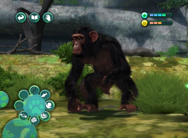 Скриншот из игры Zoo Hospital под номером 3