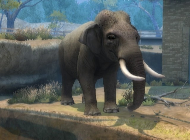 Скриншот из игры Zoo Hospital под номером 5