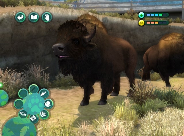 Скриншот из игры Zoo Hospital под номером 6