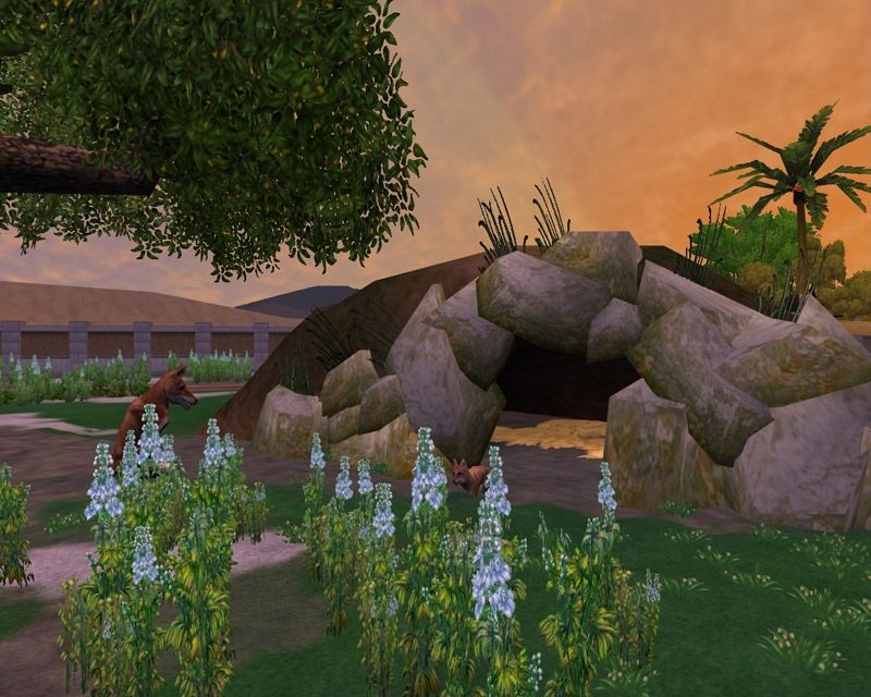 Скриншот из игры Zoo Tycoon 2: African Adventure под номером 8