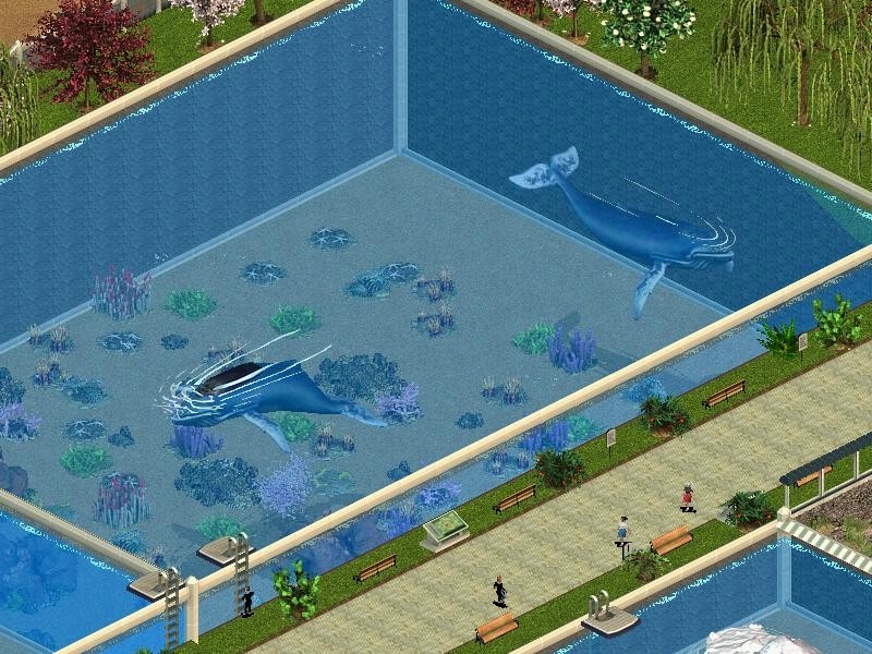Скриншот из игры Zoo Tycoon: Marine Mania под номером 1