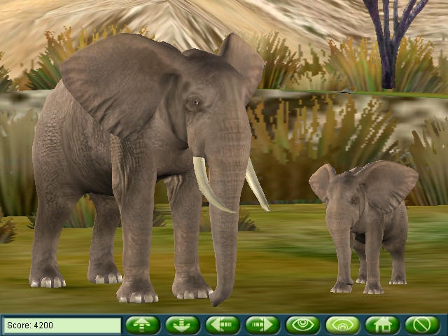 Скриншот из игры Zoo Vet: Endangered Animals под номером 23