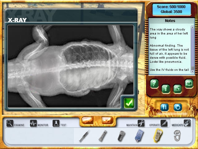 Скриншот из игры Zoo Vet: Endangered Animals под номером 33