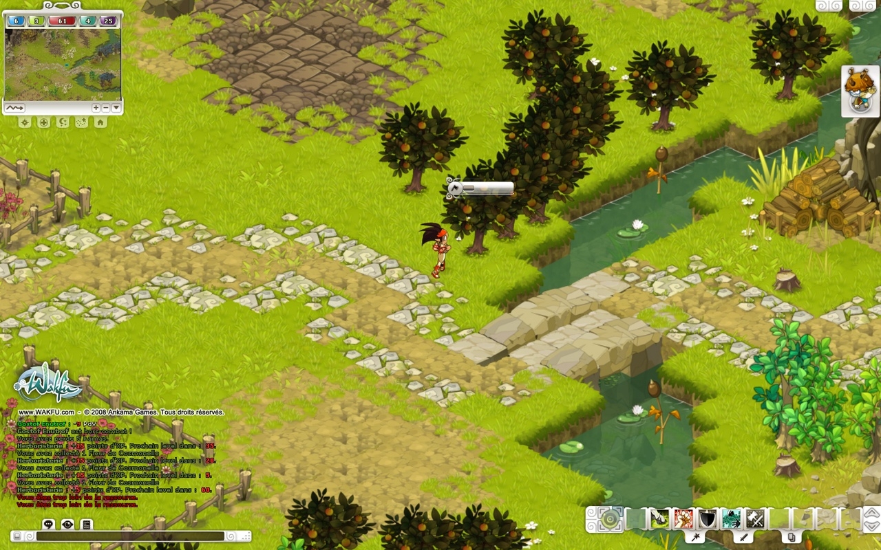 Скриншот из игры Wakfu под номером 36