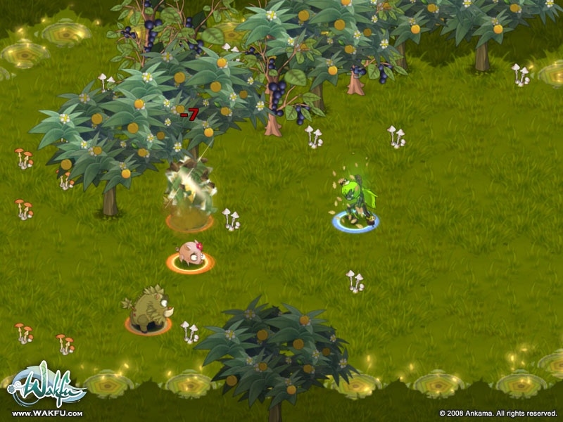 Скриншот из игры Wakfu под номером 8