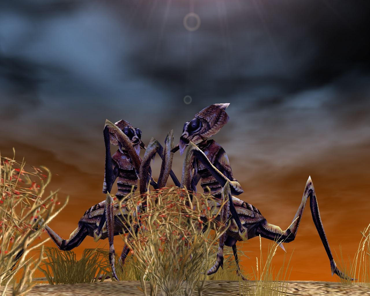 Скриншот из игры SpellForce: The Shadow of the Phoenix под номером 12