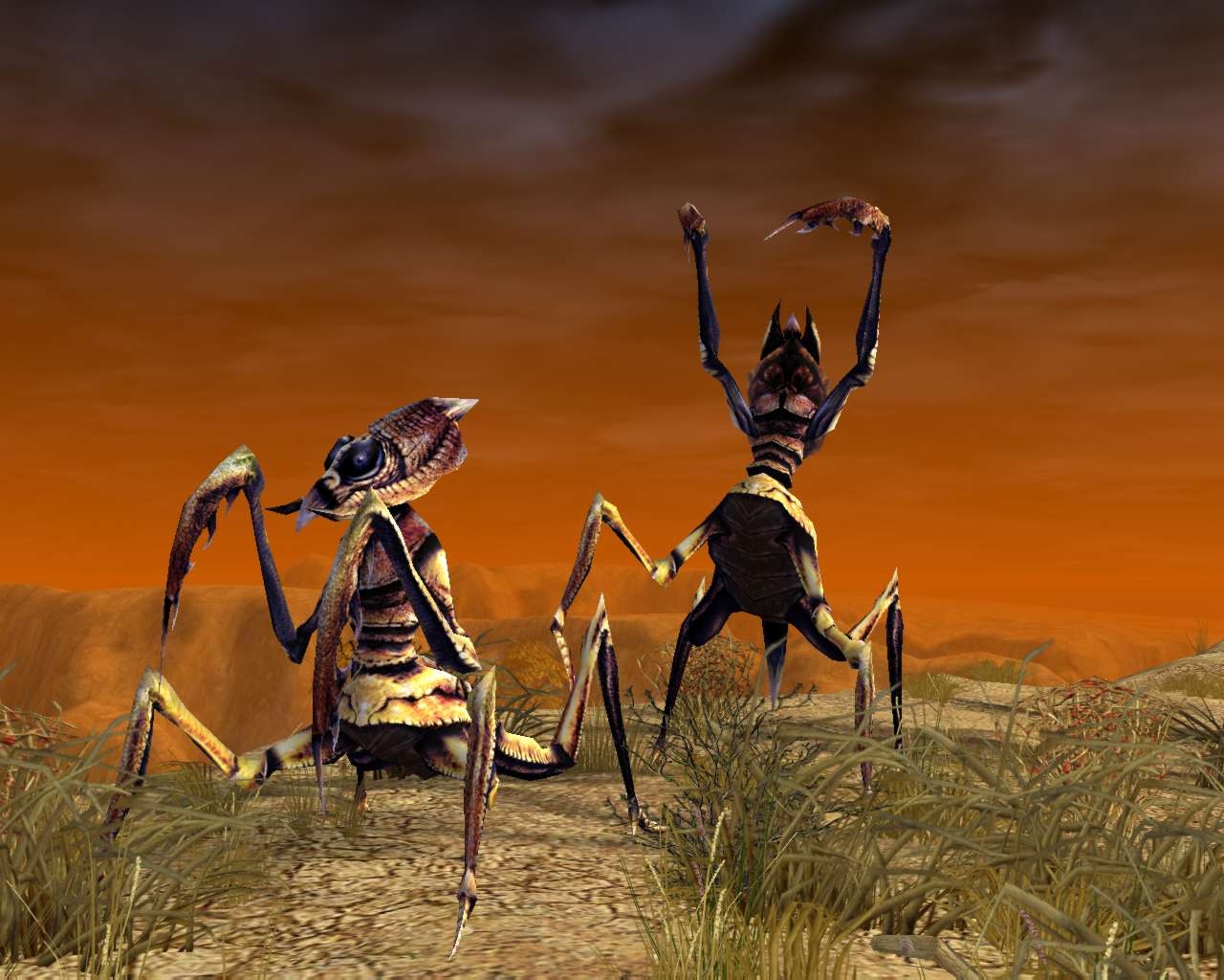 Скриншот из игры SpellForce: The Shadow of the Phoenix под номером 2