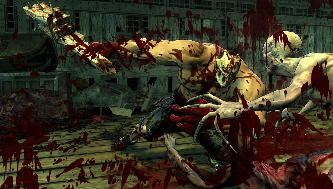 Скриншот из игры Splatterhouse (2010) под номером 40