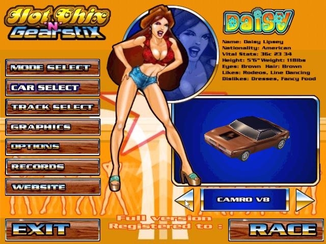 Скриншот из игры Hot Chix 