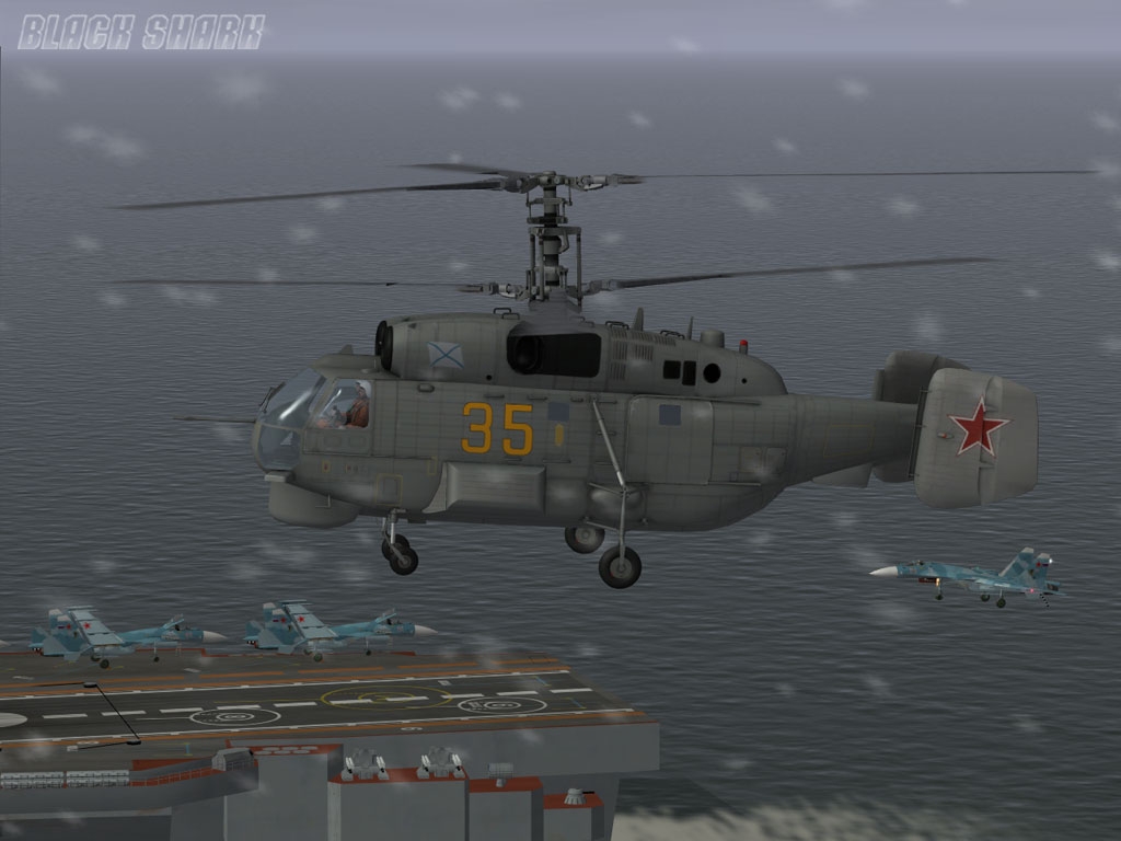 Скриншот из игры Digital Combat Simulator: Black Shark под номером 6