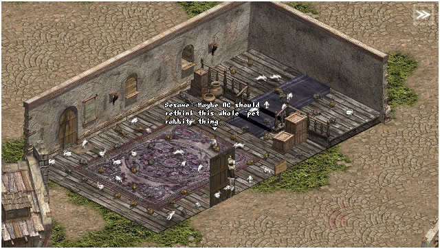 Скриншот из игры Lineage под номером 12