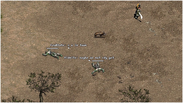 Скриншот из игры Lineage под номером 18