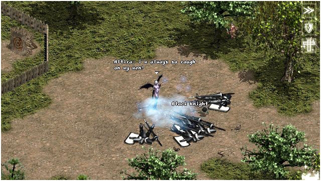 Скриншот из игры Lineage под номером 26