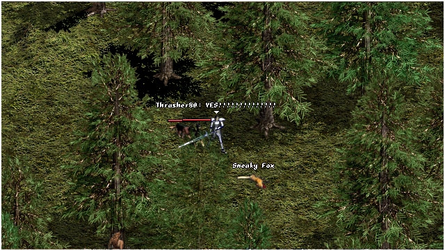 Скриншот из игры Lineage под номером 65