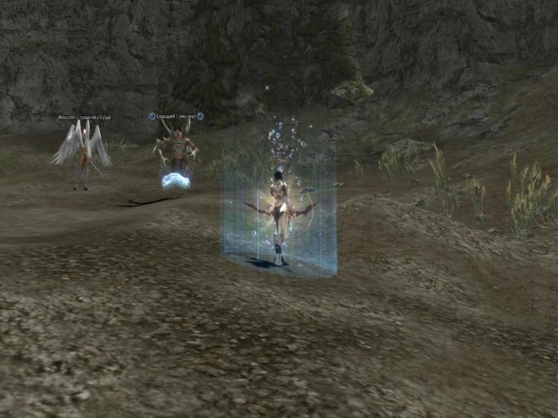 Скриншот из игры Lineage 2: Gracia под номером 9