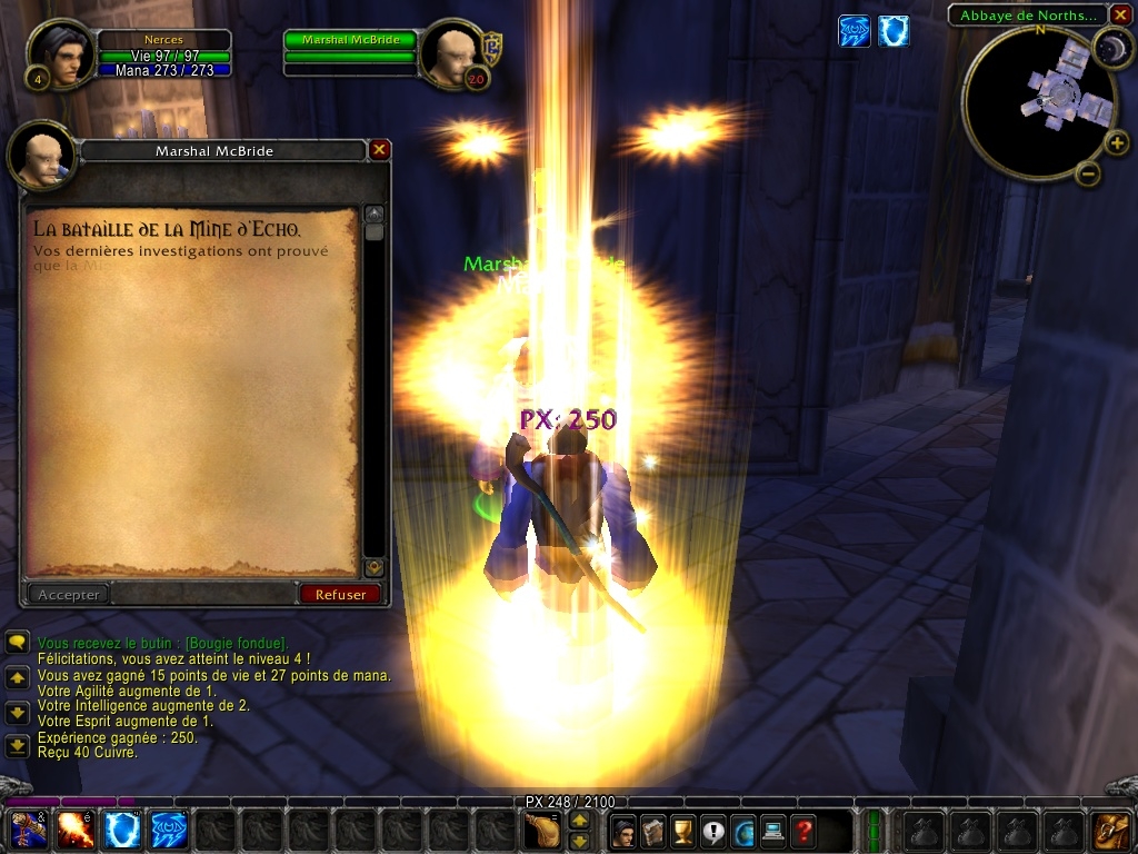 Скриншот из игры World of Warcraft под номером 21