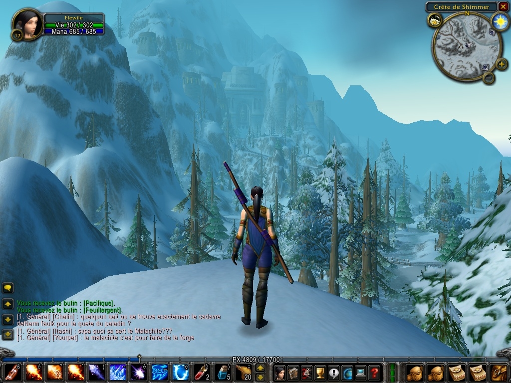 Скриншот из игры World of Warcraft под номером 24