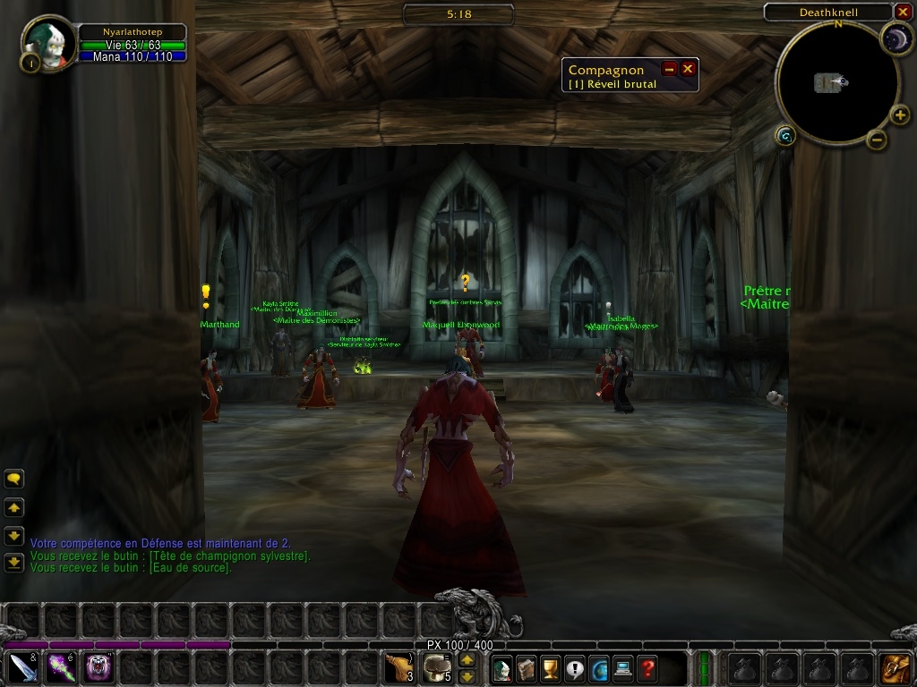 Скриншот из игры World of Warcraft под номером 26