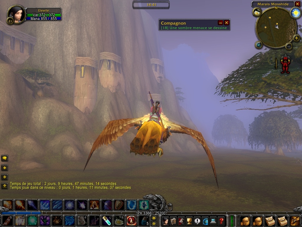 Скриншот из игры World of Warcraft под номером 29