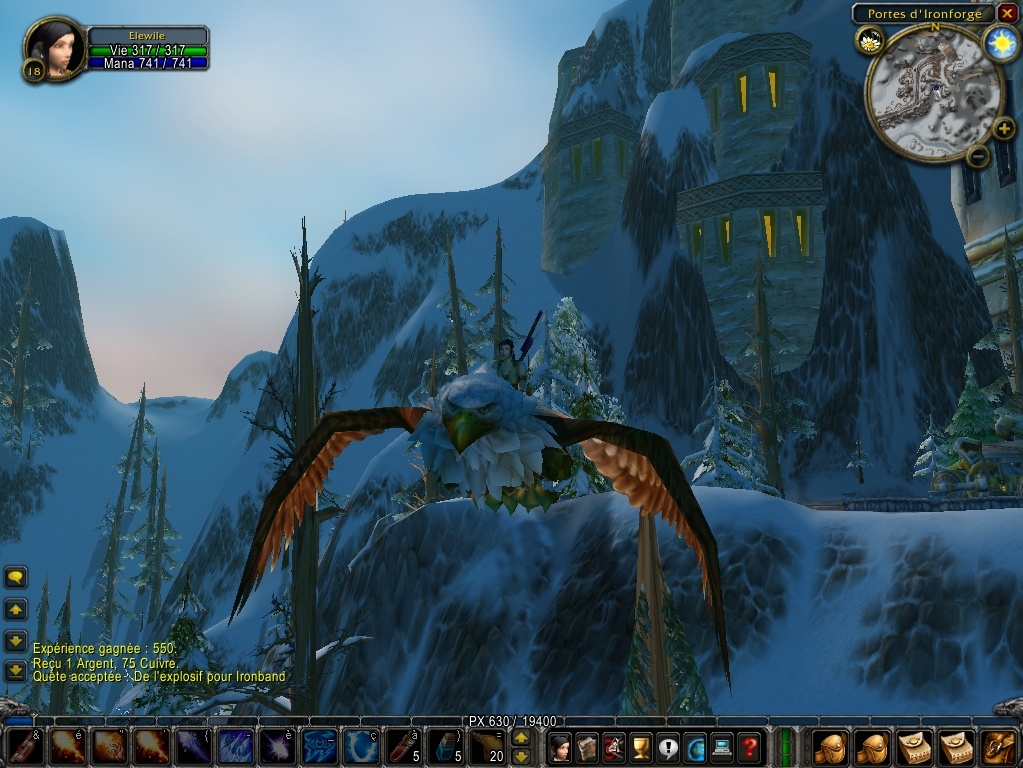 Скриншот из игры World of Warcraft под номером 33