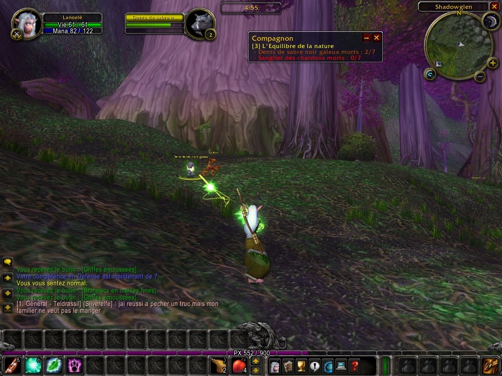 Скриншот из игры World of Warcraft под номером 35