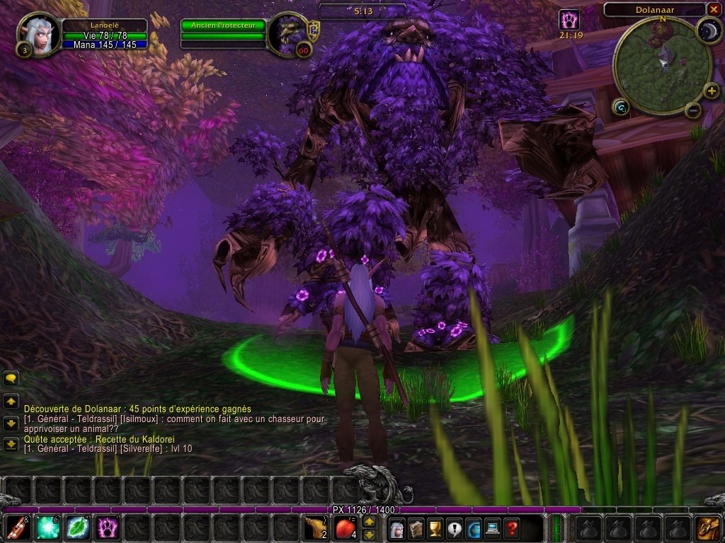Скриншот из игры World of Warcraft под номером 39