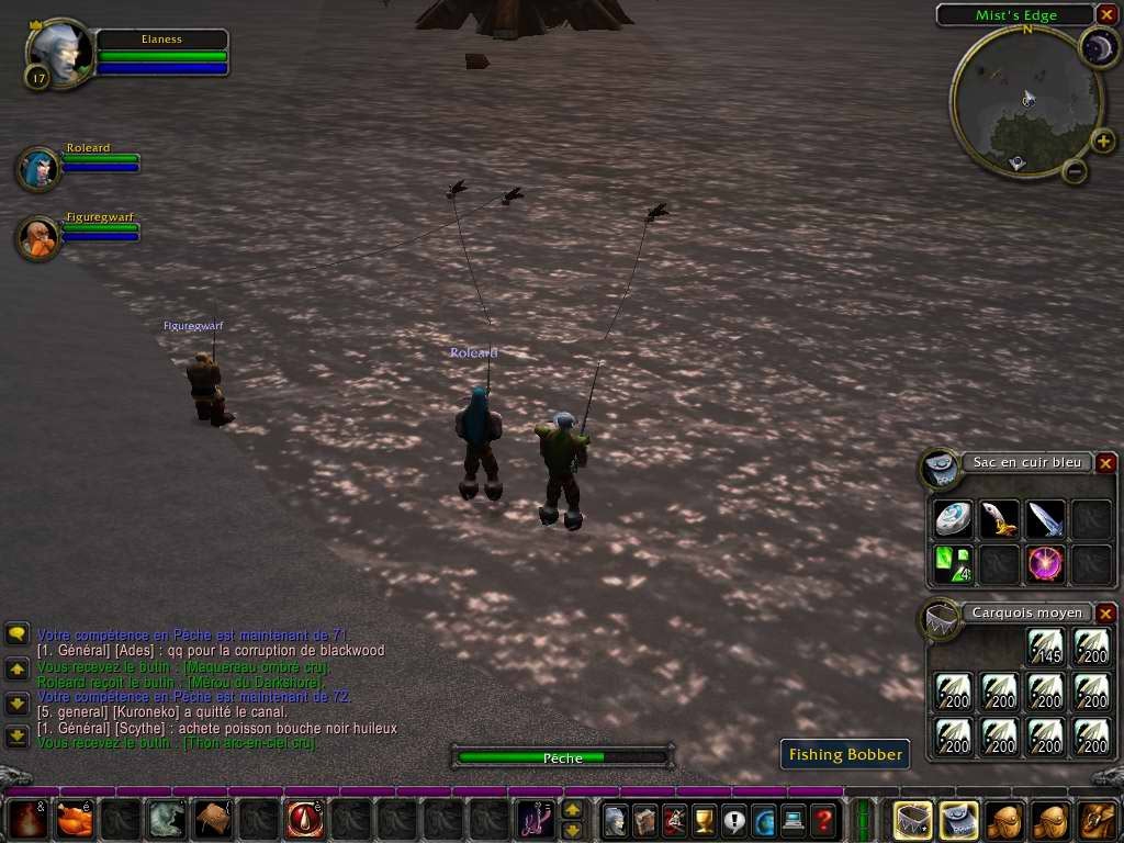 Скриншот из игры World of Warcraft под номером 43