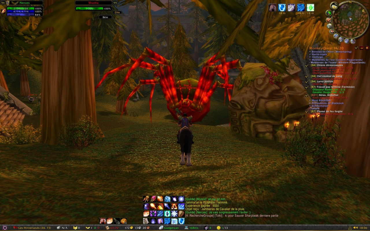 Скриншот из игры World of Warcraft под номером 50