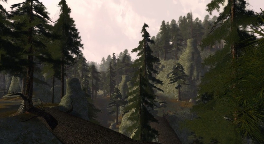 Скриншот из игры Lord of the Rings Online: The Mines of Moria - Siege of Mirkwood под номером 27