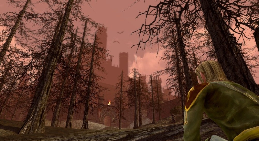 Скриншот из игры Lord of the Rings Online: The Mines of Moria - Siege of Mirkwood под номером 33