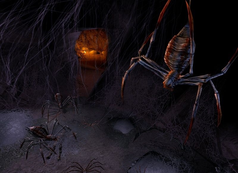 Скриншот из игры Lord of the Rings Online: Shadows of Angmar, The под номером 6