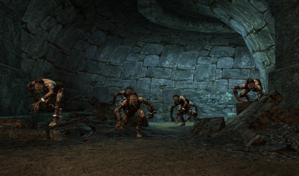 Скриншот из игры Lord of the Rings: War in the North, The под номером 55