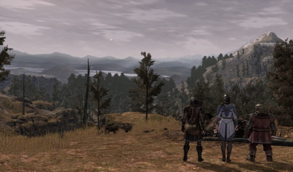 Скриншот из игры Lord of the Rings: War in the North, The под номером 6