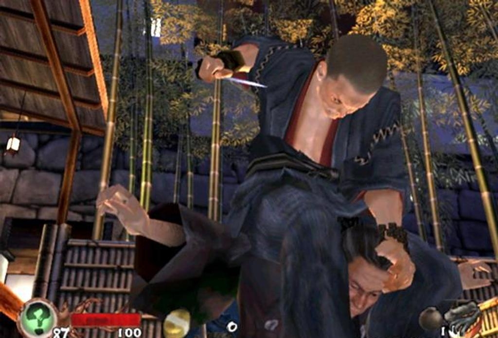 Скриншот из игры Tenchu: Return From Darkness под номером 17