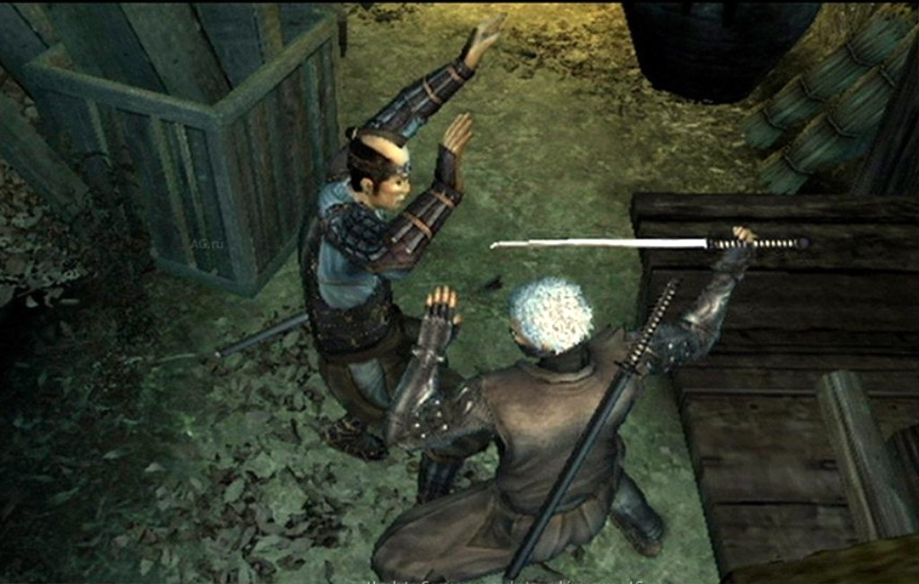 Скриншот из игры Tenchu: Shadow Assassins под номером 39