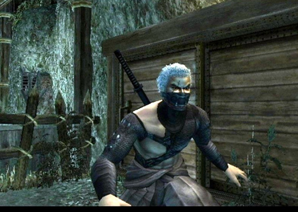 Скриншот из игры Tenchu: Shadow Assassins под номером 48