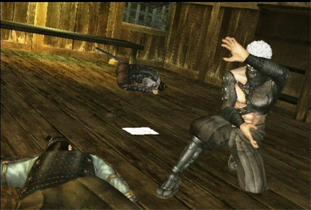 Скриншот из игры Tenchu: Shadow Assassins под номером 50
