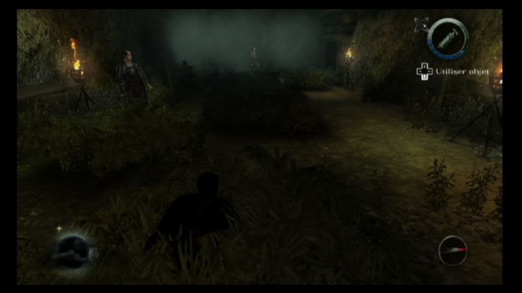 Скриншот из игры Tenchu: Shadow Assassins под номером 9