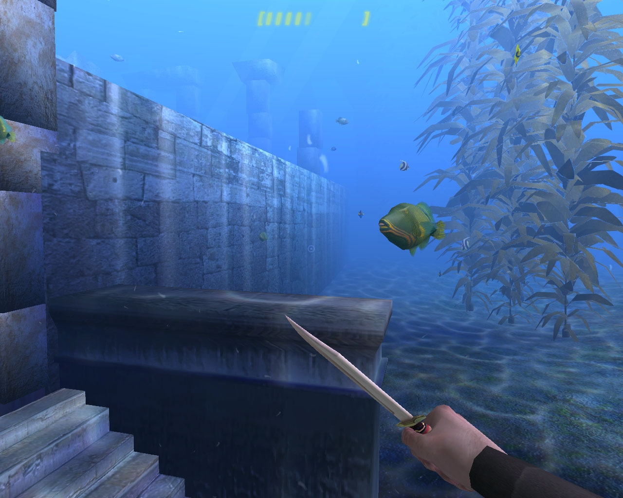 Скриншот из игры Diver: Deep Water Adventures под номером 14