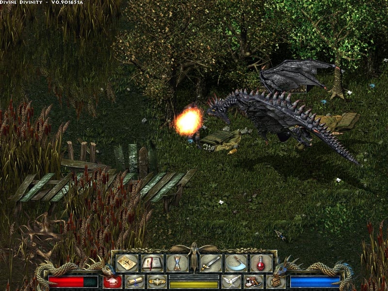 Скриншот из игры Divine Divinity под номером 3